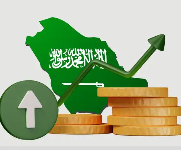 الاستثمار في القانون السعودي